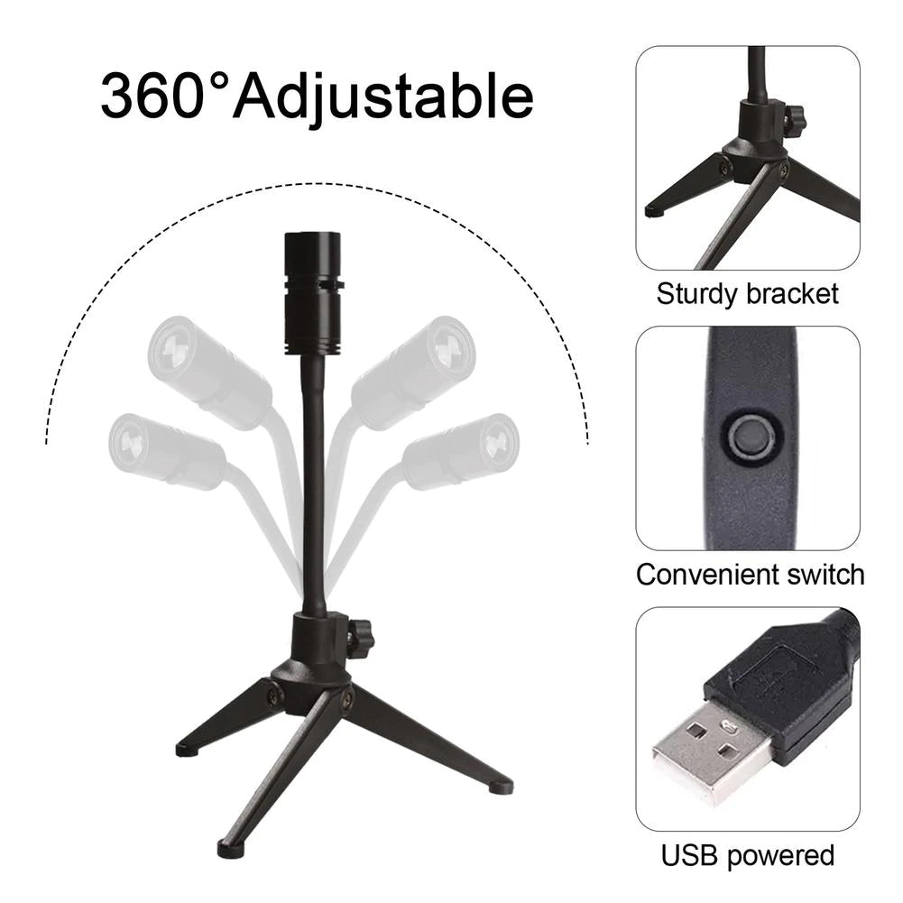 Earth Moon Projection Light