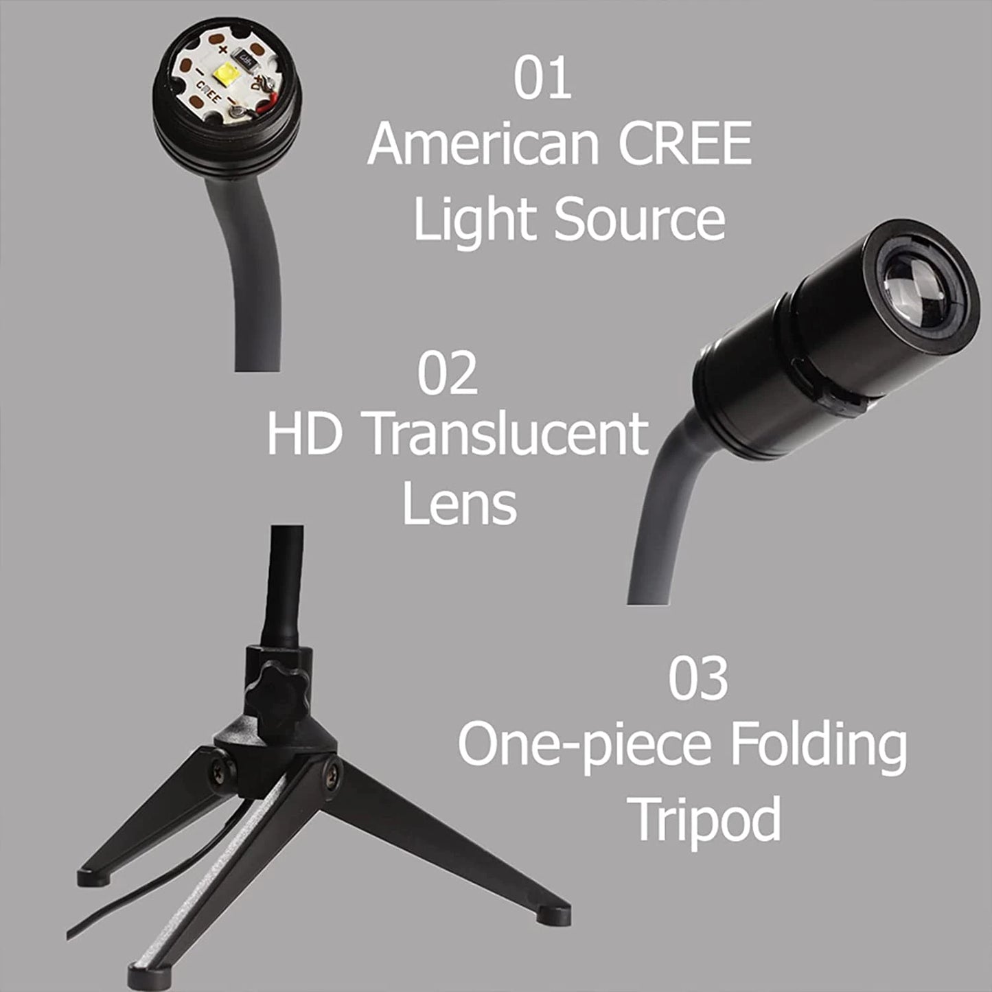 Earth Moon Projection Light