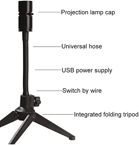 Earth Moon Projection Light